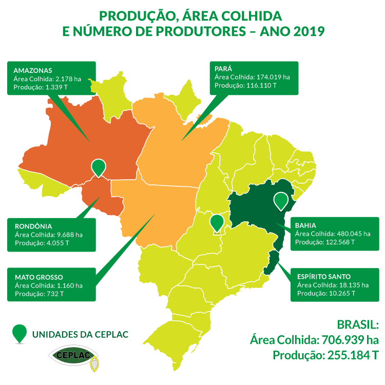 Produção 2019